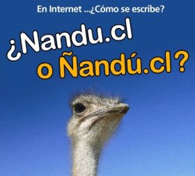 �En Internet... c�mo se escribe? �nandu.cl o �and�.cl?